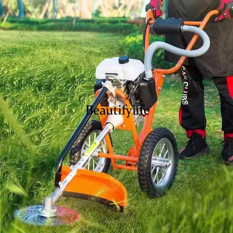 Cortadora de césped manual L17 - Power Tools Garden reseña y precio