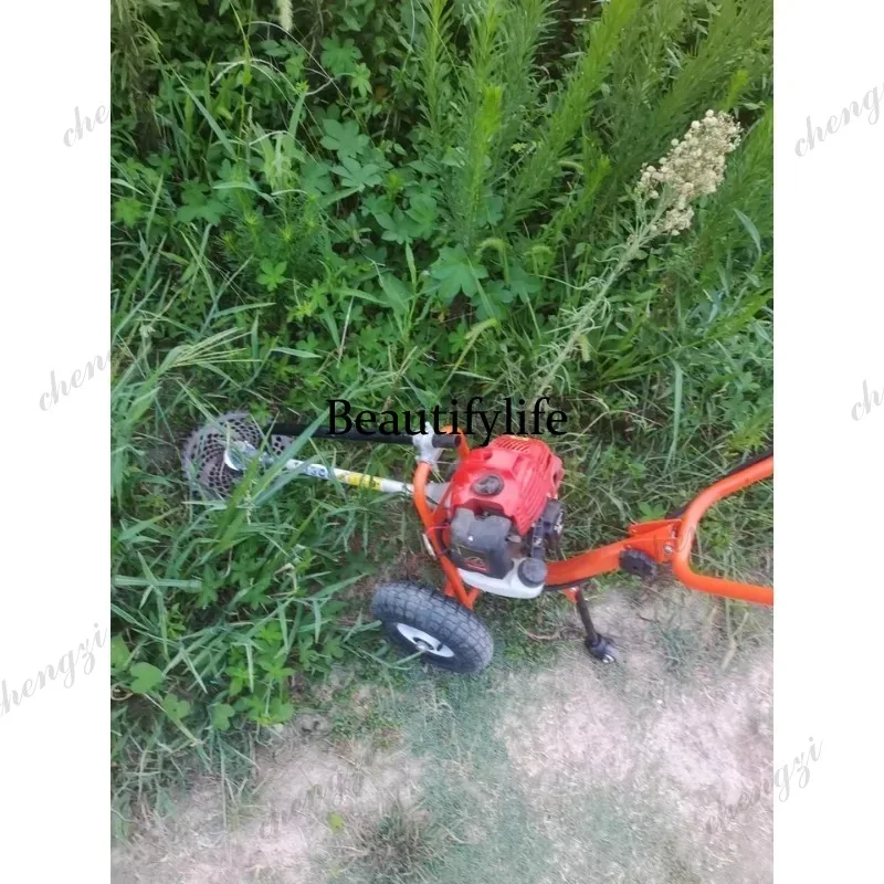 Cortadora de césped manual L17 - Power Tools Garden reseña y precio